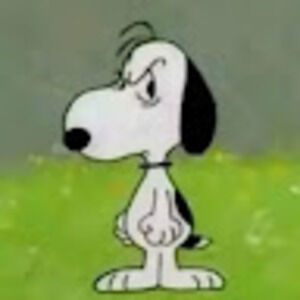 Meet your Posher, Skye